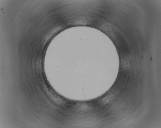 X0000073520534200608211807