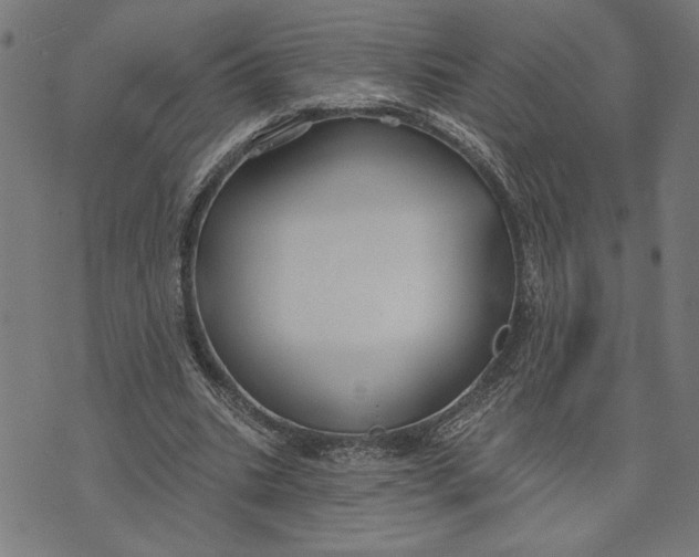 X0000073520535200608211807