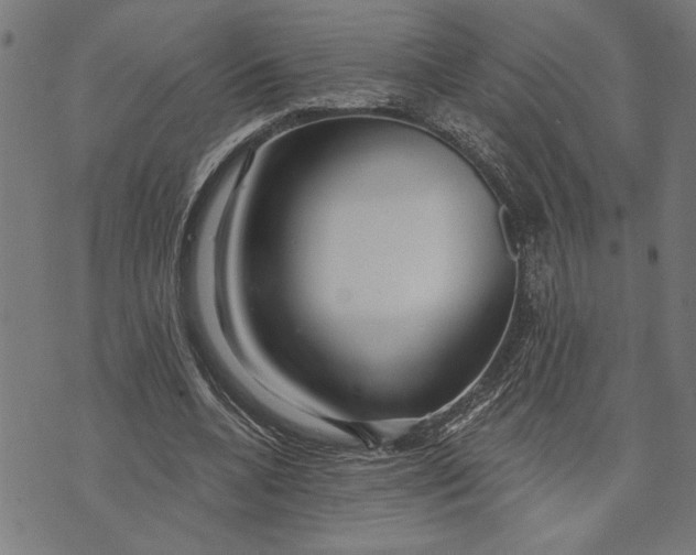 X0000073520536200608211807