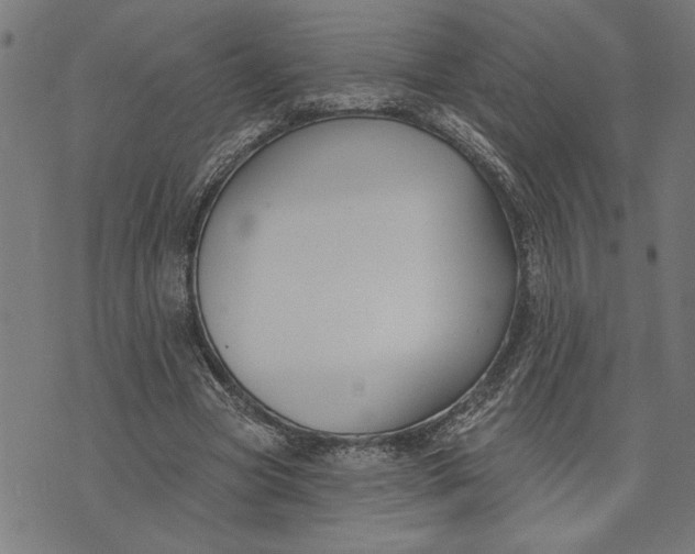 X0000073520537200608211807