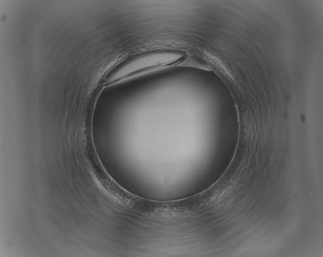 X0000073520538200608211807