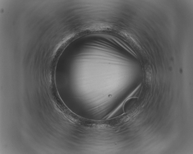 X0000073520539200608211807