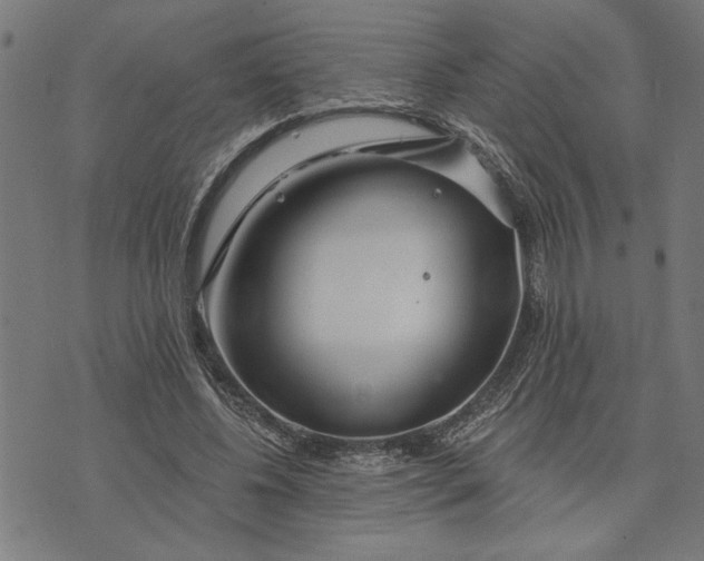 X0000073520540200608211807