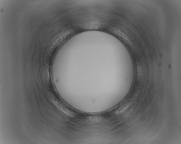 X0000073520541200608211807