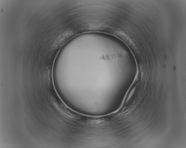 X0000073520542200608211807