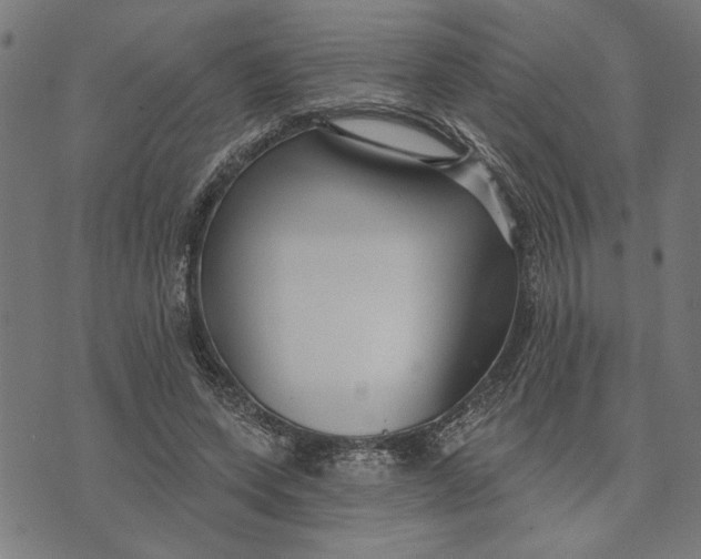 X0000073520543200608211807