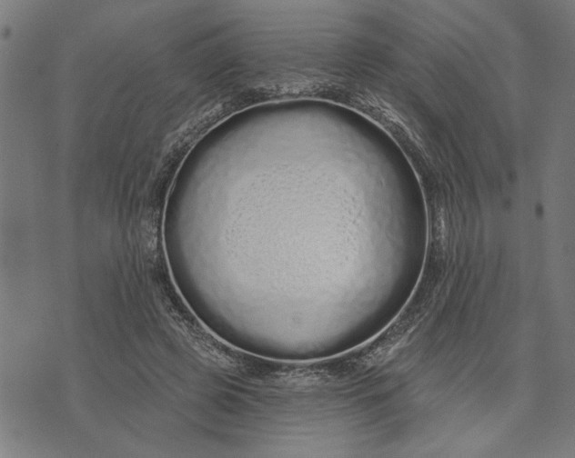 X0000073520545200608211807