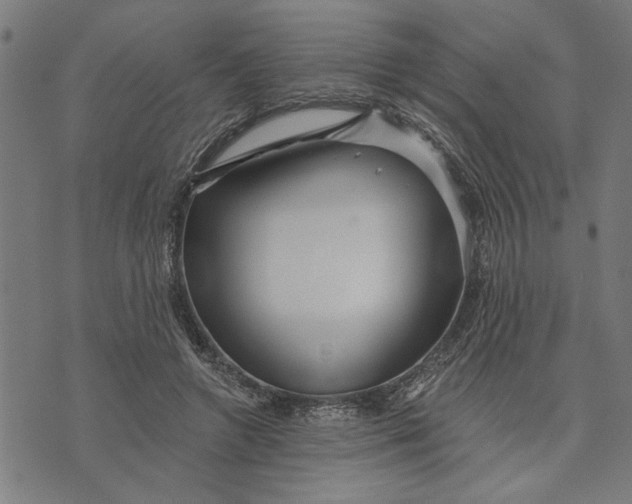 X0000073520546200608211807