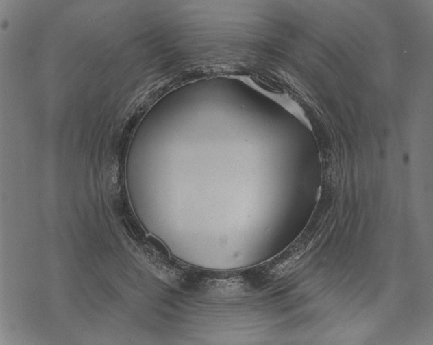 X0000073520548200608211807