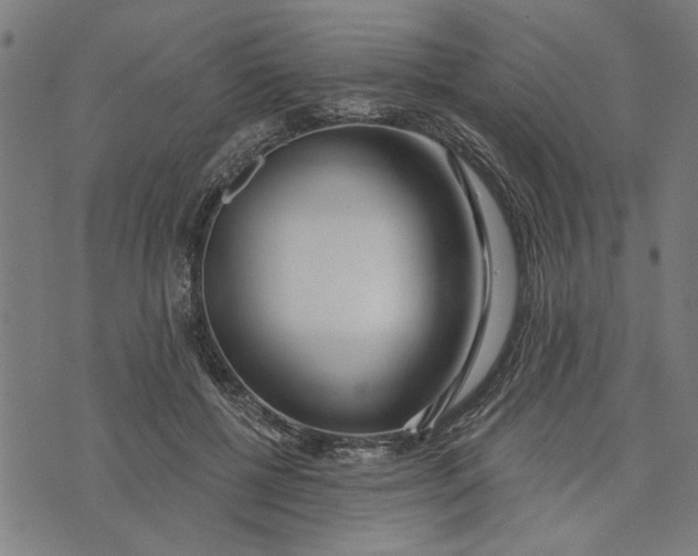 X0000073520552200608211807