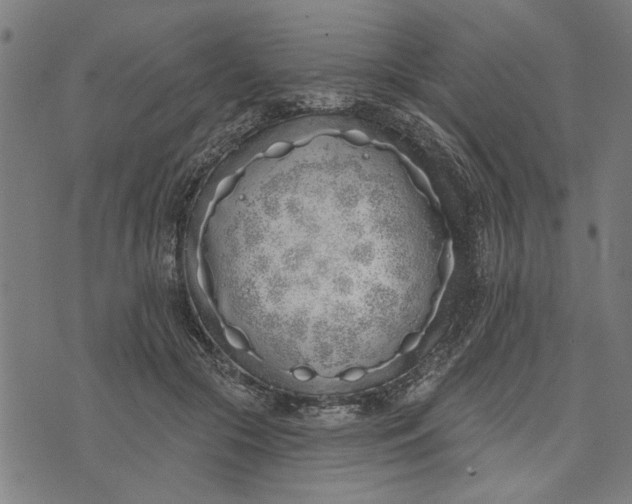 X0000073520553200608211807