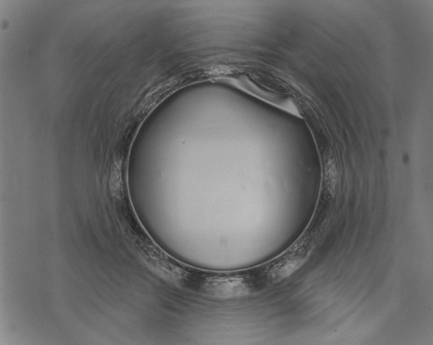 X0000073520554200608211807