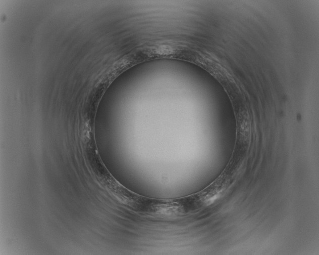 X0000073520555200608211807