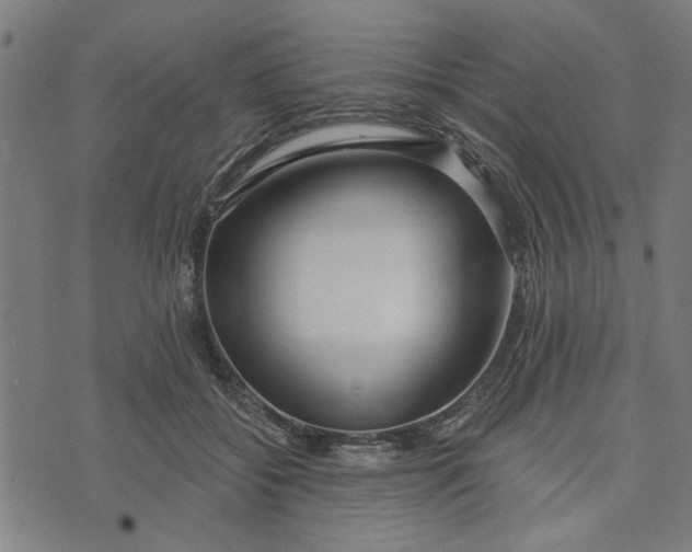 X0000073520556200608211807