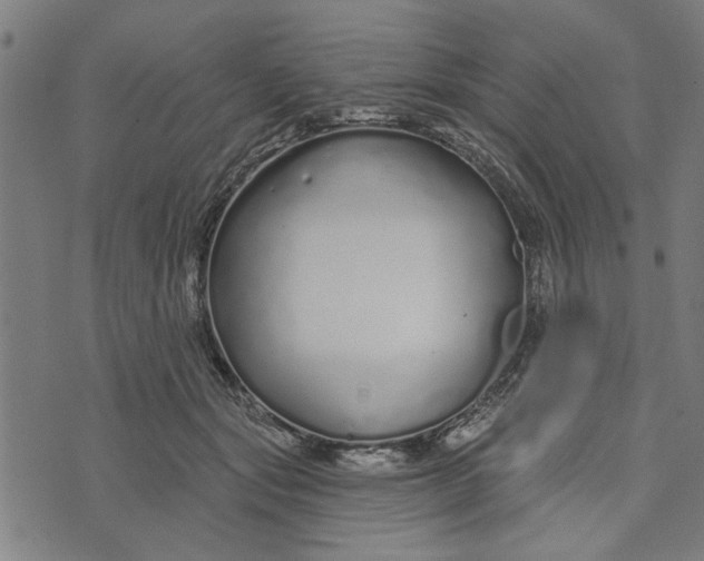 X0000073520557200608211807