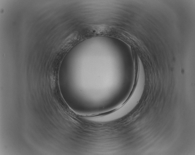 X0000073520558200608211807