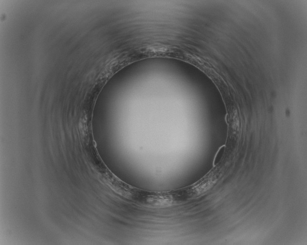 X0000073520559200608211807