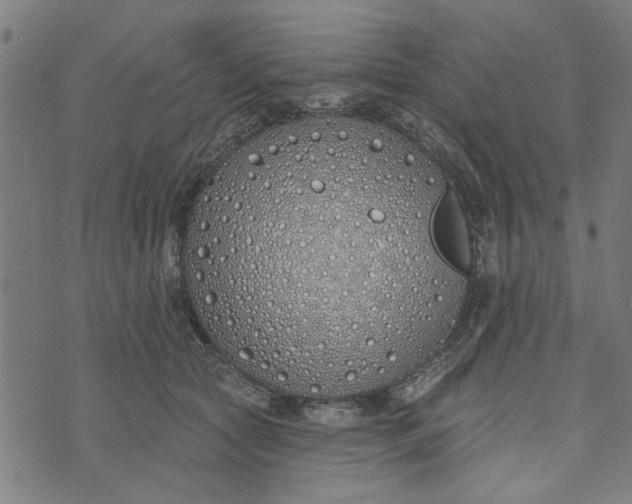 X0000073520561200608211807