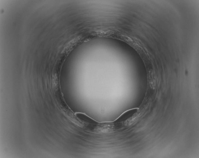 X0000073520563200608211807