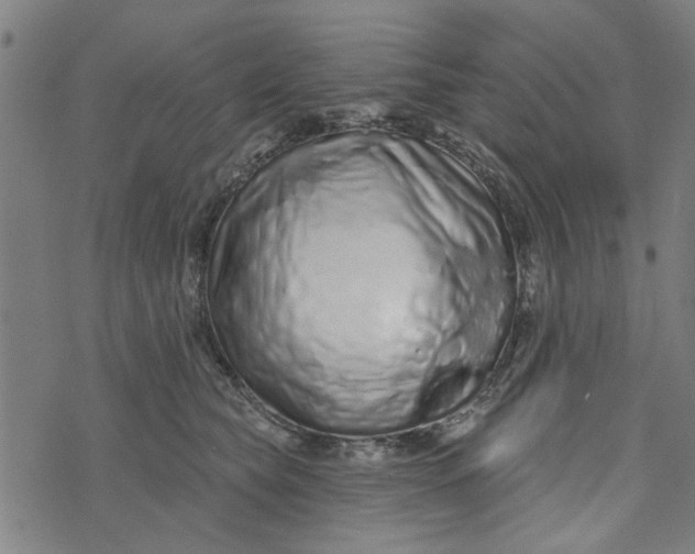 X0000073520565200608211807