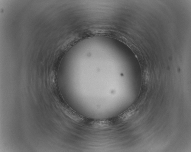 X0000073520567200608211807