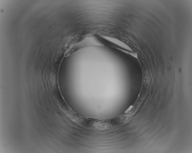 X0000073520568200608211807