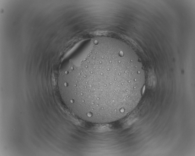 X0000073520569200608211807