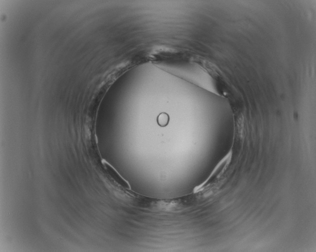 X0000073520570200608211807