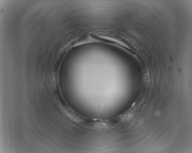 X0000073520572200608211808