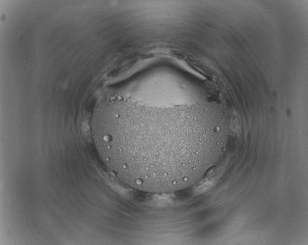 X0000073520573200608211808