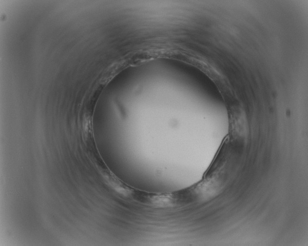 X0000073520574200608211808