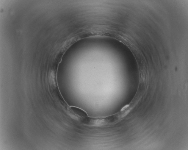 X0000073520575200608211808