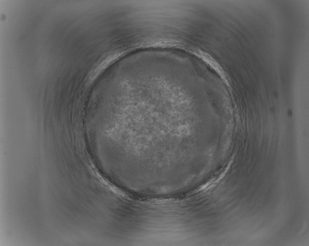 X0000073520577200608211807