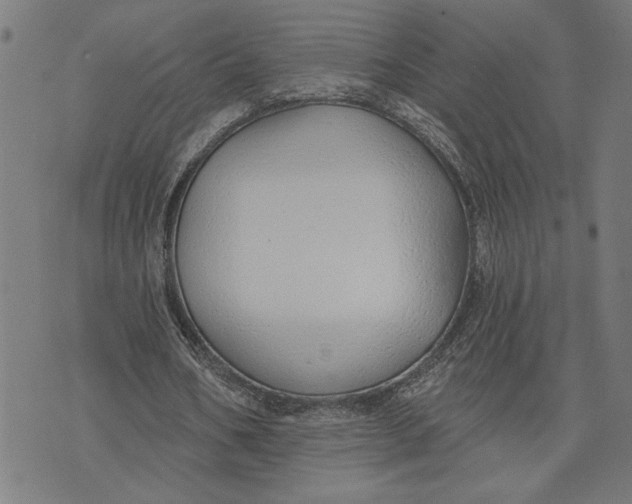 X0000073520578200608211807