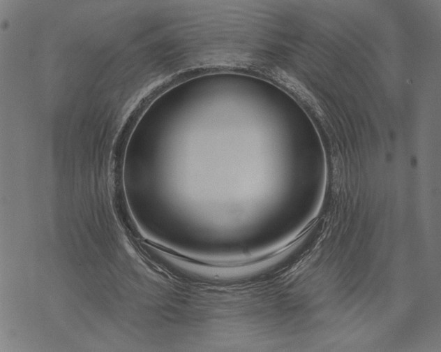 X0000073520580200608211807