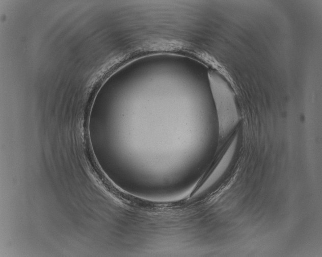 X0000073520581200608211807