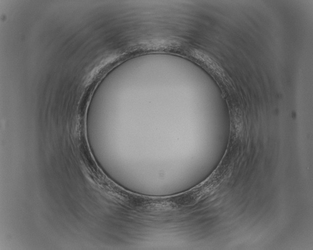 X0000073520583200608211807