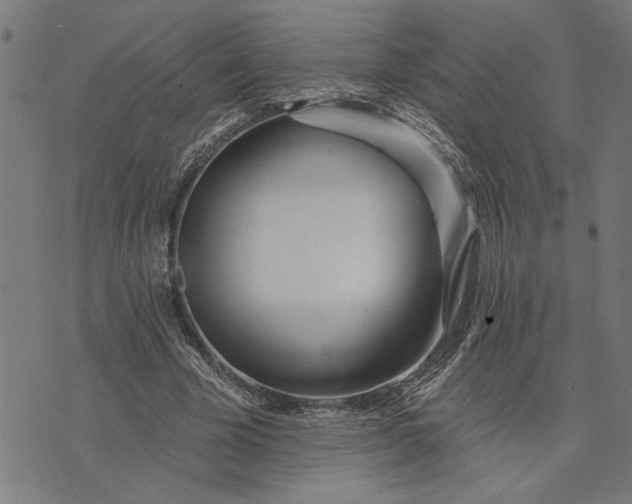 X0000073520585200608211807