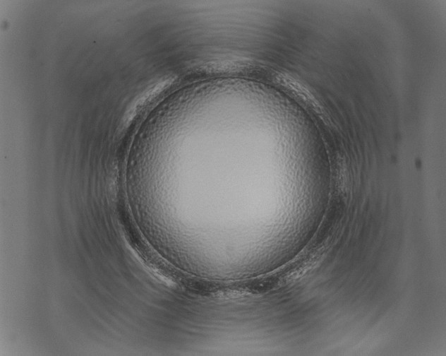 X0000073520586200608211807