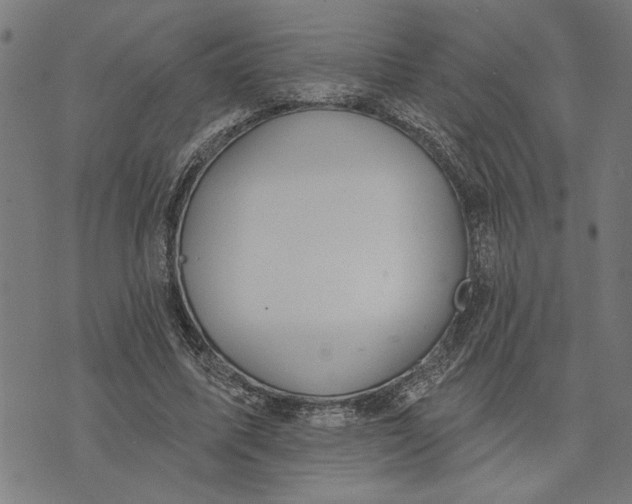 X0000073520587200608211807