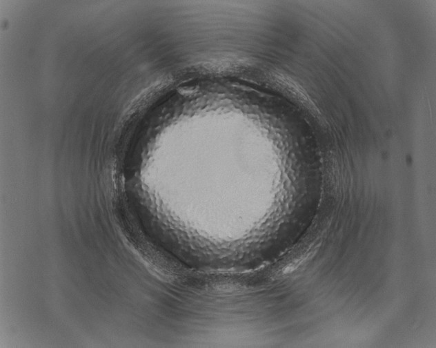 X0000073520590200608211807