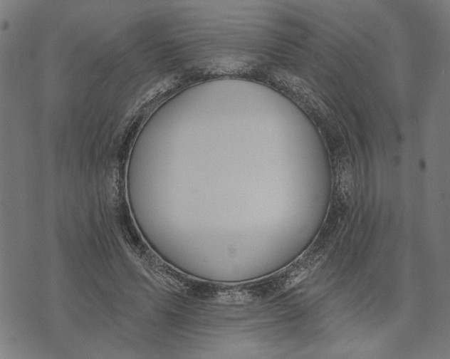 X0000073520591200608211807