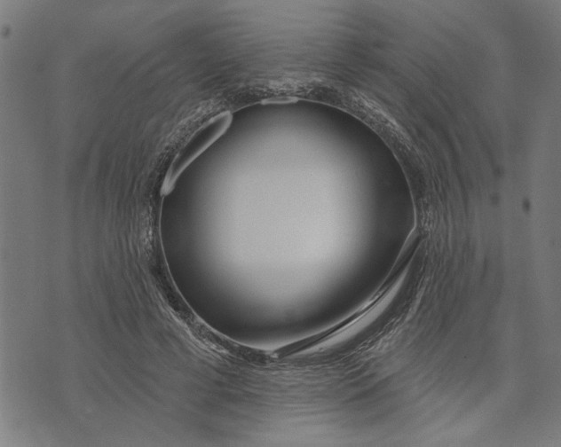 X0000073520593200608211806