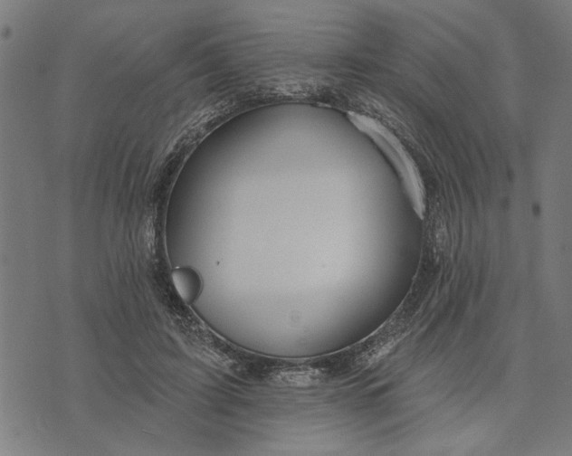 X0000073520595200608211806