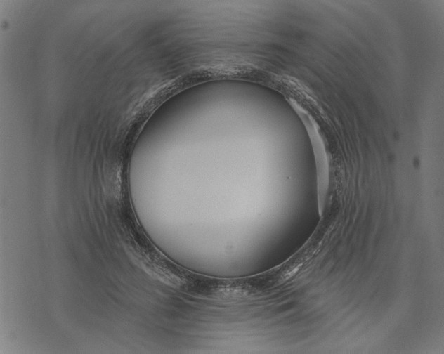 X0000073520596200608211806