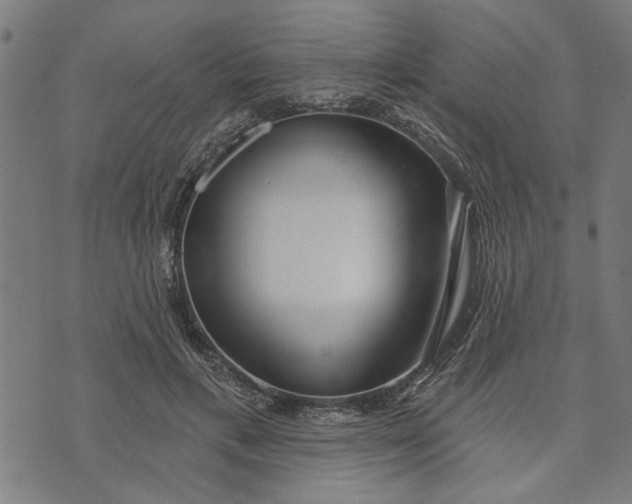 X0000073520597200608211806