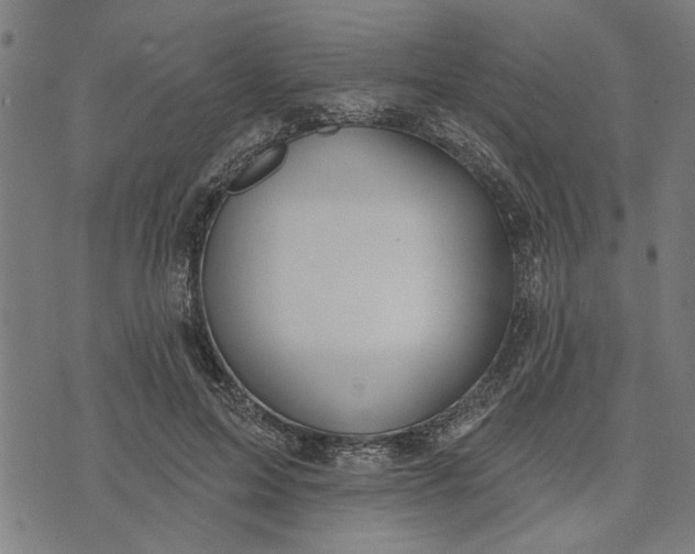 X0000073520599200608211806