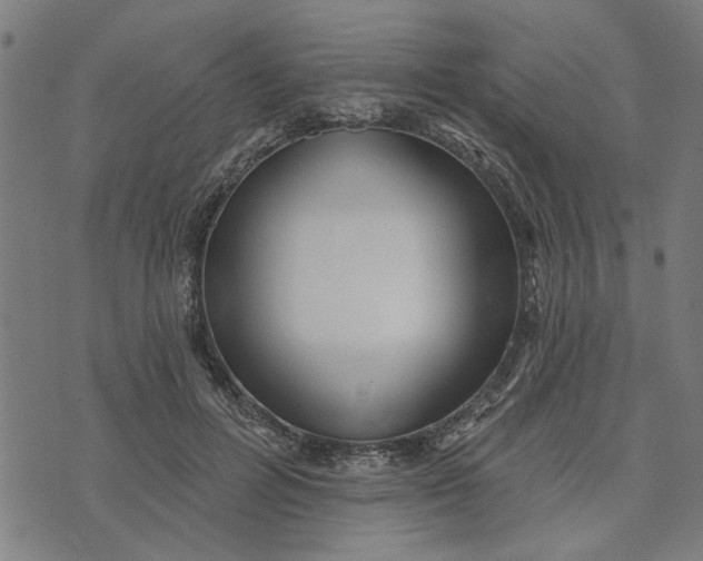 X0000073520600200608211806