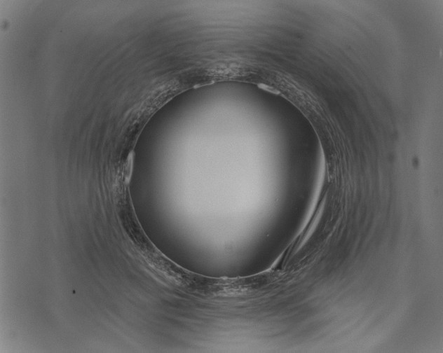 X0000073520601200608211806