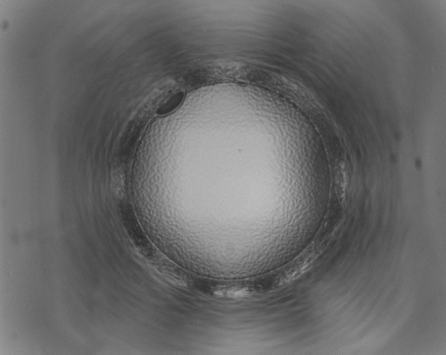 X0000073520602200608211806